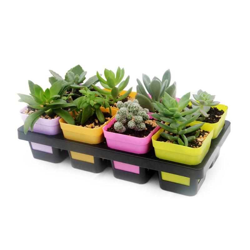 8 Cells Grid Plastic Flowerpot Plant Pot Succulant Planter Seed Tray for Cactus Succulant Bean Sprouts Seedlings Small Flowers