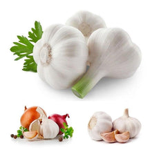 Load image into Gallery viewer, 200pcs Giant Garlic Seeds Heirloom  Bulb Seed Home Garden Vegetable Herb